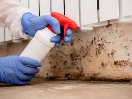 Best Mold Documentation for Insurance Claims  in Bluffton, IN